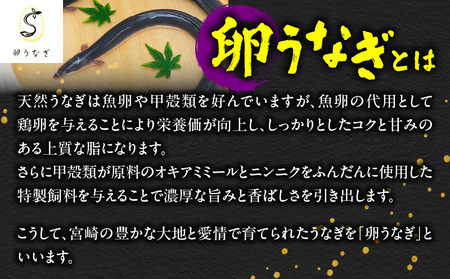 1642-1 九州産 卵うなぎ 備長炭手焼 『鯉家匠うなぎ』の蒲焼 2尾 計300g KN029-005-01 うなぎ ウナギ 鰻 うなぎ蒲焼 鰻蒲焼き ウナギ蒲焼 惣菜 総菜 魚類 魚貝類 魚介類 海産物 鰻重 うな重 ひつまぶし 鰻丼 土用の丑 魚 冷凍 大隅うなぎ販売 ふるさと納税 鹿児島 鹿屋市 おすすめ ランキング プレゼント ギフト