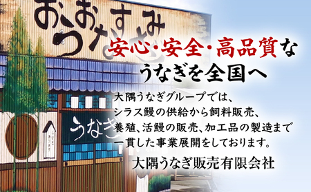 1964-1 うなぎ問屋の 備長炭手焼 うな丼の素 350g（5袋） KN029-004-02 魚 鰻