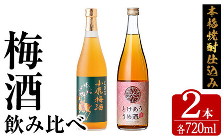 【年内配送12月8日入金まで】梅酒 本格焼酎 仕込み 飲み比べ 720ml × ２本 2153