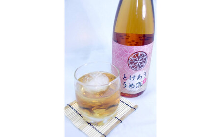 【年内配送12月8日入金まで】梅酒 本格焼酎 仕込み 飲み比べ 720ml × ２本 2153