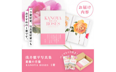 浅井愼平写真集　薔薇の肖像　KANOYA ROSES 1031