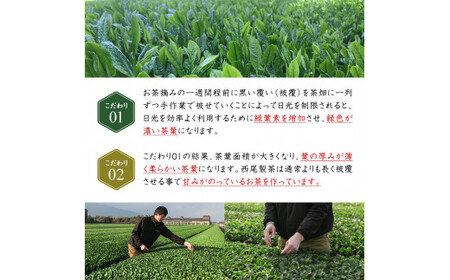 農薬不使用一番茶のほうじ茶「煌～きらめき～」31包×３袋 1401