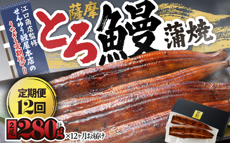 2176-1 【江口商店監修】薩摩とろ鰻蒲焼二尾 280g（140g×2）＜12ヶ月定期＞ KN084-T04 魚 鰻 8,750円