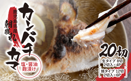 487-1 カンパチ カマ塩 ・ 醤油麹（ こうじ ）漬け 20切 KN037-001-02 海産物 魚介 焼き 味付き レンジ 調理済み 冷凍 国産 鹿児島産 錦江の恵屋 ふるさと納税 鹿児島 鹿屋市 おすすめ ランキング プレゼント ギフト