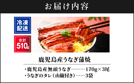 2443 鹿児島 産 うなぎ 合計 510g （ 170g × 3尾 ） KN021-014-03 魚 鰻