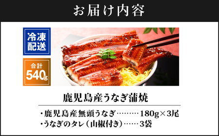 2446 鹿児島 産 うなぎ 合計540g （ 180g × 3尾 ） KN021-015-03 魚 鰻