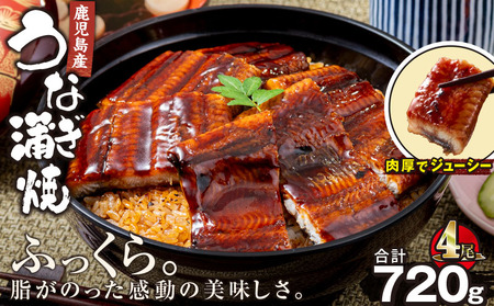 2447 鹿児島 産 うなぎ 合計720g （ 180g × 4尾 ） KN021-015-04 魚 鰻