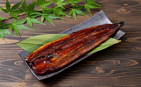 2447 鹿児島 産 うなぎ 合計720g （ 180g × 4尾 ） KN021-015-04 魚 鰻