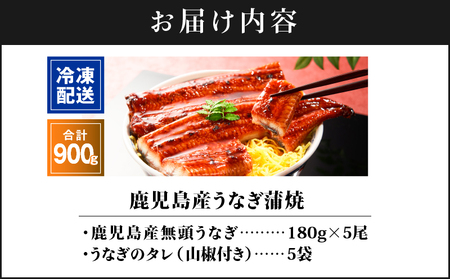 2448 鹿児島 産 うなぎ 合計900g （ 180g × 5尾 ） KN021-015-05 魚 鰻