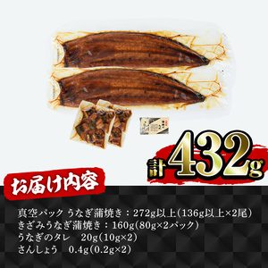 【年内配送12月15日入金まで】【テレビ放送記念返礼品】鹿児島県産うなぎ蒲焼き２尾　きざみ２パックセット 2470