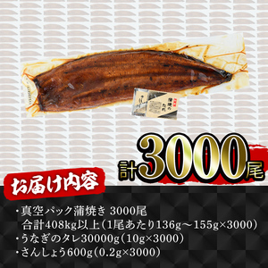 【年内配送12月15日入金まで】どうぞ、召し上がれ！うなぎ養殖量日本一からの挑戦状！【うなぎ蒲焼き3000尾】 2626