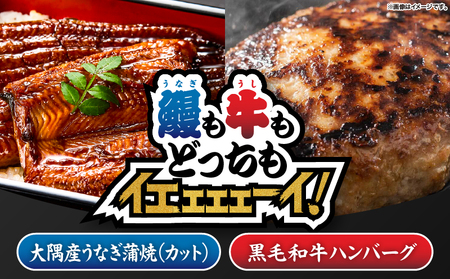 2471 【鰻も牛もどっちもイエェェェーイ！4】鹿児島県大隅産「カット」うなぎ蒲焼80g×1枚 うしの中山和牛100%ハンバーグ2個 KN050-013 うなぎ 本格 鰻 ウナギ 蒲焼 湯煎 レンジ 解凍 簡単調理 鰻丼 鰻重 ひつまぶし 土用の丑 黒毛和牛 和牛 牛肉 肉 国産 ハンバーグ 冷凍 nixy 中山亭 鹿屋店 ふるさと納税 鹿児島 鹿屋市 おすすめ ランキング プレゼント ギフト