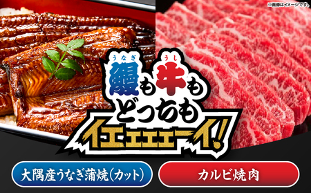 2473 【 鰻も牛もどっちもイエェェェーイ！ 6 】 鹿児島県 大隅産 「 カット 」 うなぎ蒲焼80g×2枚 鹿児島和牛 ・ A5 カルビ焼肉 200g KN050-027 うなぎ 本格 鰻 ウナギ 蒲焼 湯煎 レンジ 解凍 簡単調理 鰻丼 鰻重 ひつまぶし 土用の丑 黒毛和牛 和牛 牛肉 肉 国産 カルビ 冷凍 nixy 中山亭 鹿屋店 ふるさと納税 鹿児島 鹿屋市 おすすめ ランキング プレゼント ギフト