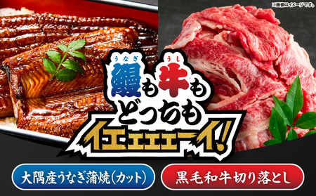 2474 【鰻も牛もどっちもイエェェェーイ！7】鹿児島県大隅産「カット」うなぎ蒲焼80g×2枚 最高級A5・黒毛和牛切り落とし300g KN050-014 うなぎ 本格 鰻 ウナギ 蒲焼 湯煎 レンジ 解凍 簡単調理 鰻丼 鰻重 ひつまぶし 土用の丑 黒毛和牛 和牛 牛肉 肉 国産 切り落とし 冷凍  nixy 中山亭 鹿屋店 ふるさと納税 鹿児島 鹿屋市 おすすめ ランキング プレゼント ギフト