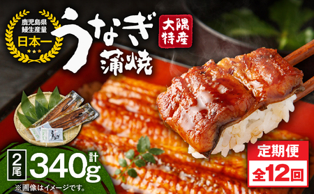2481 【 定期 12回 】大隅特産 うなぎ蒲焼 2尾（340g）【 国産 】 KN060-T05 魚 冷凍 鰻 定期便