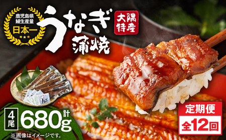 2487 【 定期 12回 】大隅特産 うなぎ蒲焼 4尾（680g）【 国産 】 KN060-T11 魚 冷凍 鰻 定期便