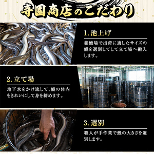 【定期便３回】大隅特産うなぎ蒲焼 2尾（340ｇ）・白焼１尾（120ｇ）食べ比べセット 2491