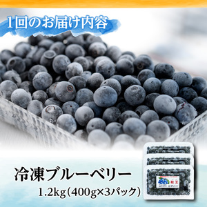 【３回定期便2か月に１回】粒王　冷凍ブルーベリー1.2kg[400ｇ×３P] 2467