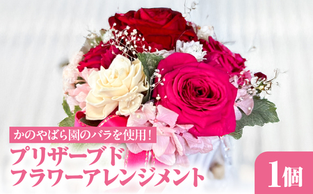 2-1 プリザーブド フラワー アレンジメント KN002-003 花 薔薇 バラ ローズ 生花 かのやばら園 プリザーブドフラワー アレンジ 制作 製作 手作り NPO法人ローズリングかのや ふるさと納税 鹿児島 鹿屋市 おすすめ ランキング プレゼント ギフト