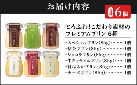 2495 【 6年連続 金賞 】とろふわ！こだわり素材の プレミアム プリン 6種 合計 6個 KN021-023-01 デザート スイーツ 菓子 お菓子 プレミアムプリン スペシャルプリン 抹茶プリン ショコラプリン チーズプリン 紅はるか芋プリン 生キャラメルプリン 詰め合わせ バニラ カラメルソース チョコレート クリームチーズ 鹿児島県産紅はるか 紅はるか 甘い あまい ご褒美 財宝 ふるさと納税 鹿児島 鹿屋市 おすすめ ランキング プレゼント ギフト