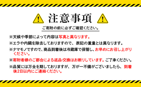 2530 鹿児島県産 鮮魚 詰合せ セット （ 3～4 尾 ） KN025-004-01 魚 お魚 刺身