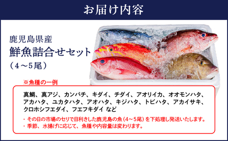 2531 鹿児島県産 鮮魚 詰合せ セット（ 4～5尾 ） KN025-004-02 魚 お魚 刺身