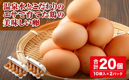 【年内配送12月1日入金まで】温泉水とこだわりのエサで育てた鶏のおいしい卵　20個（10個入×2パック）※18個+破卵保障2個 2525