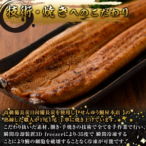 【江口商店監修】薩摩とろ鰻白焼２尾 280g（140g×2） 2518