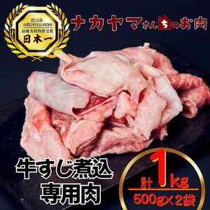 2548 【 ナカヤマさんちのお肉 】牛すじ煮込み 専門肉 計1kg（ 500g × 2袋 ） KN050-024 肉 牛肉
