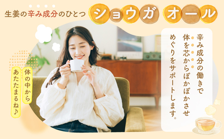 2594 鹿屋 満足 熟成 蒸し 黒 生姜 パウダー 25g×1袋 KN026-023-01 野菜 加工食品