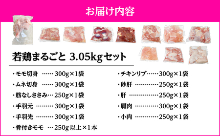 2649 若鶏まるごと3.05kgセット KN105-006 国産 鹿屋市県産 鶏肉 鶏 鳥肉 鶏もも 鶏むね 鶏ささみ 手羽元 手羽先 チキンリブ 砂肝 肩肉 セット 小分け 真空 冷凍 冷凍保存 TRINITY ふるさと納税 鹿児島 鹿屋市 おすすめ ランキング プレゼント ギフト