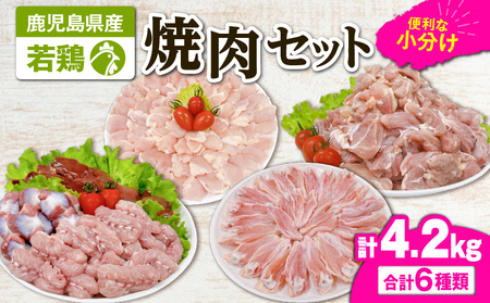 2653 若鶏焼肉4.2kgセット KN105-001 肉 鶏肉 冷凍