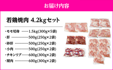 2653 若鶏焼肉4.2kgセット KN105-001 肉 鶏肉 冷凍