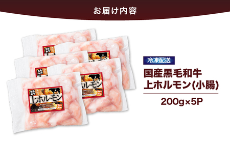 2631 国産黒毛和牛上ホルモン（小腸） 1kg KN101-001-02 国産 牛 牛肉 ホルモン もつ鍋 焼肉 串焼き 冷凍 真空 小分け カミチク ふるさと納税 鹿児島 鹿屋市 おすすめ ランキング プレゼント ギフト