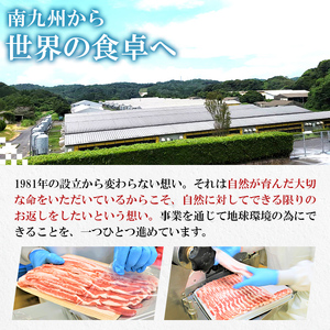 4等級以上 九州産和牛ロース大判焼肉1ｋｇ（3枚～4枚） 2575