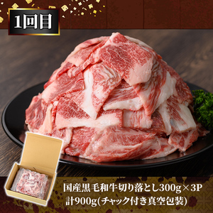 牛肉・豚肉切り落とし定期便（２回お届け） 2611