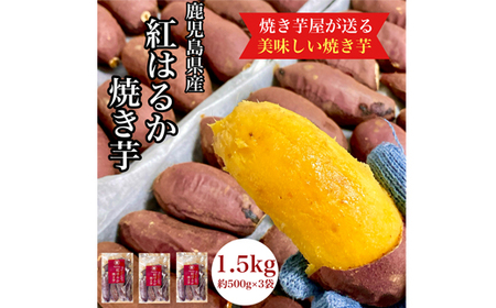 【年内配送12月15日入金まで】鹿児島県産 さつまいも 紅はるか 焼き芋 1.5kg 蜜芋 さつまいも 【クール便配送】 2670