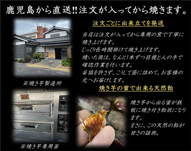 【年内配送12月15日入金まで】鹿児島県産 さつまいも 紅はるか 焼き芋 1.5kg 蜜芋 さつまいも 【クール便配送】 2670