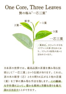 【年内配送12月15日入金まで】鹿児島県産 粉末 ほうじ茶 農薬不使用 300g （100g × 3袋） 2737