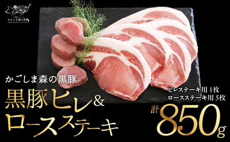 2788 希少「かごしま森の黒豚」ヒレ＆ロースステーキ（850g） KN004-013 黒豚 豚 ヒレ ロース ステーキ ごちそう 小分け 国産  三清屋 ふるさと納税 鹿児島 鹿屋市 おすすめ ランキング プレゼント ギフト