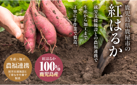 2845 かのや 紅はるか ペースト （ さつま芋 ） 1kg （ 業務用 ） KN109-001-02 菓子