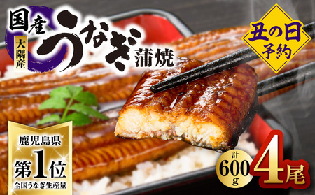 2869 【 期間限定 生活応援 】 【 2026年 土用の丑の日 先行予約 】 鹿児島県 大隅産 うなぎ蒲焼 4尾 （ 600g ） KN007-004-01 国産 本格 鰻 ウナギ 蒲焼 冷凍 湯 大隅地区養まん漁業協同組合 ふるさと納税 鹿児島 鹿屋市 おすすめ ランキング プレゼント ギフト