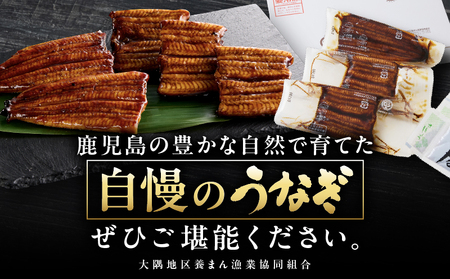2869 【 期間限定 生活応援 】 【 2026年 土用の丑の日 先行予約 】 鹿児島県 大隅産 うなぎ蒲焼 4尾 （ 600g ） KN007-004-01 国産 本格 鰻 ウナギ 蒲焼 冷凍 湯 大隅地区養まん漁業協同組合 ふるさと納税 鹿児島 鹿屋市 おすすめ ランキング プレゼント ギフト