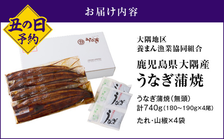 2870 【先行予約】【数量限定】鹿児島県大隅産うなぎ蒲焼4尾（740g） KN007-004-02 数量限定 鹿屋市県大隅産うなぎ蒲  大隅地区養まん漁業協同組合 ふるさと納税 鹿児島 鹿屋市 おすすめ ランキング プレゼント ギフト