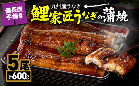 2900 九州産 卵うなぎ 備長炭手焼鯉家匠うなぎの蒲焼5尾（600g） KN029-005-04 鰻 ウナギ たれ付 真空パック 湯煎 レンジ 国産 うな丼 うな重 ひつまぶし うなぎ 大隅うなぎ販売  ふるさと納税 鹿児島 鹿屋市 おすすめ ランキング プレゼント ギフト
