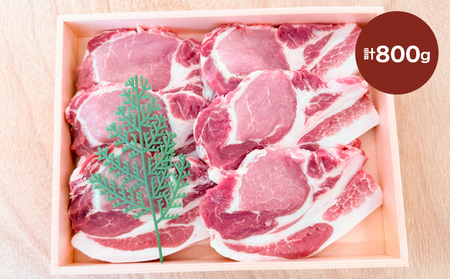 2883 鹿児島産黒豚ロースとんかつ木箱 800g KN010-008 肉 豚肉 冷凍