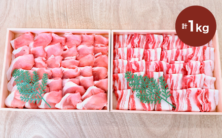 2885 鹿児島産茶美豚ロース・バラしゃぶしゃぶセット木箱 1000g KN010-010 黒豚 豚肉 肉 国産 冷凍 ロース バラ しゃぶしゃぶ セット 詰め合わせ 屋市きもつき農業協同組合 ふるさと納税 鹿児島 鹿屋市 おすすめ ランキング プレゼント ギフト