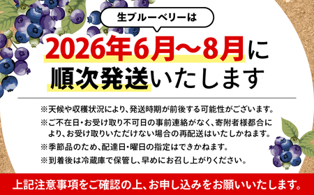 【 期間限定 】 【先行予約】1217-1 粒王 生 ブルーベリー 1.2kg（ 400g × 3P ） KN030-002-01 果物