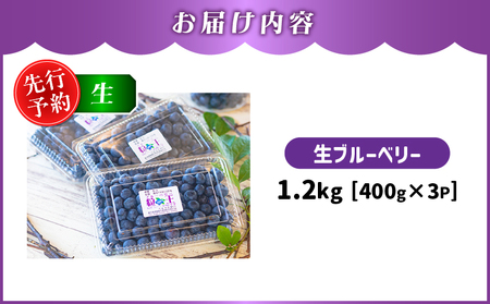 【 期間限定 】 【先行予約】1217-1 粒王 生 ブルーベリー 1.2kg（ 400g × 3P ） KN030-002-01 果物
