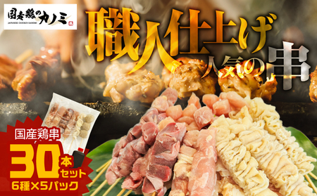 国産 鶏串 30本 セット( 6種 × 5パック ) KN077-004-01 やきとり 焼鳥 焼き鳥 鶏もも 鶏むね 砂肝 肩肉 鶏皮 つくね 串 鳥串 おかず 串カツ BBQ 冷凍食品 カノミ ふるさと納税 鹿児島 鹿屋市 おすすめ ランキング プレゼント ギフト